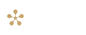 Logo Premium padel